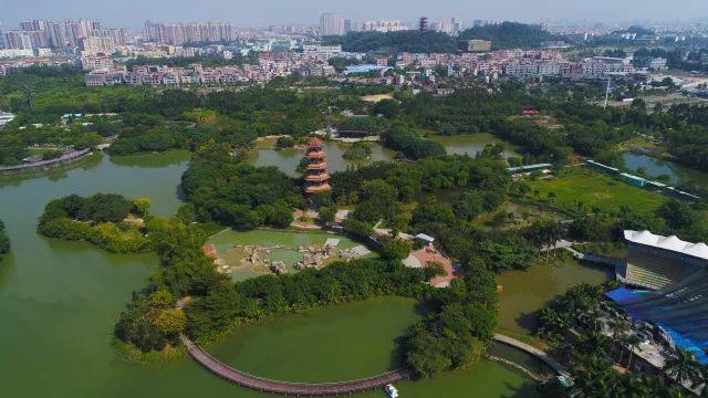 莞商传奇 | 莞商凭什么“冇问题”？就凭……