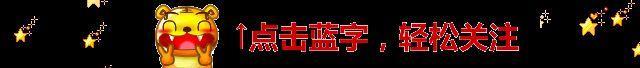 甜文，军少揣娃开会：首长！快撒开我家小娇娇，一碰就哭你哄啊