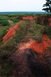 ​中国历史上最大的地震：郯城地震