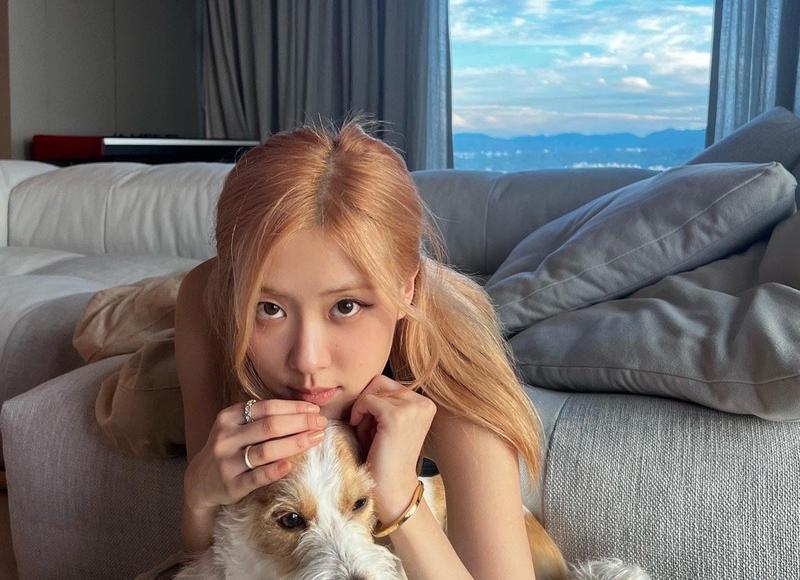 欺骗了老婆怎么挽回，老婆被欺骗怎么挽回关系？