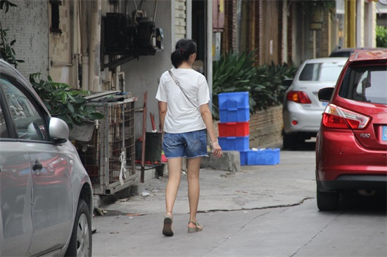 东莞女子图鉴