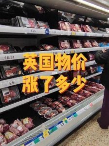 ​付宁：90后‘景茶妹妹’的学霸之路与清纯魅力
