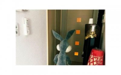 ​仙居宾馆露营文案抖音（露营主题酒店）