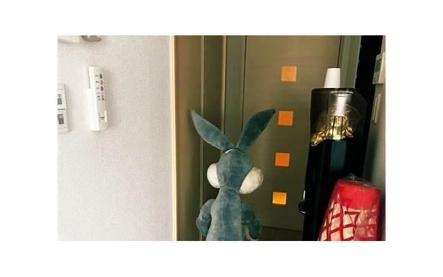 仙居宾馆露营文案抖音（露营主题酒店）