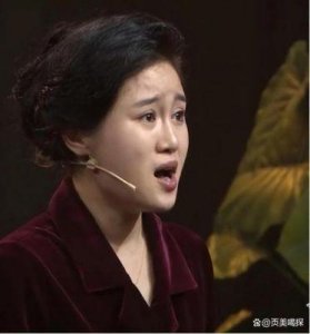 ​刘亮妻子白鸽宣布离婚，疑似因家庭暴力引起关注