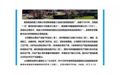 ​情感口述实录-安全感
