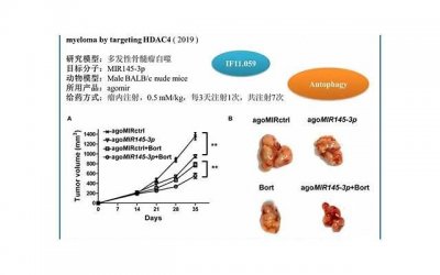 ​男用春药怎么样 男用春药有哪些