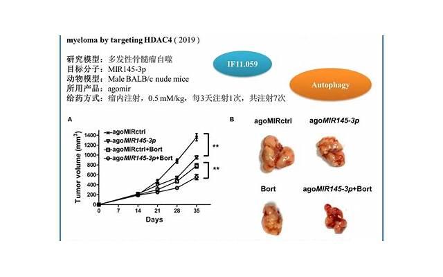 男用春药怎么样 男用春药有哪些