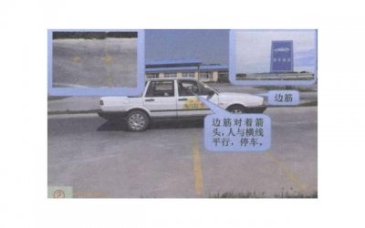 ​狮子座男与摩羯座女配对成功的可能性及提高方法