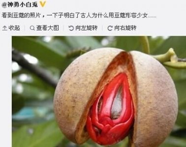 ​豆蔻是多少岁，豆蔻是指多少岁？