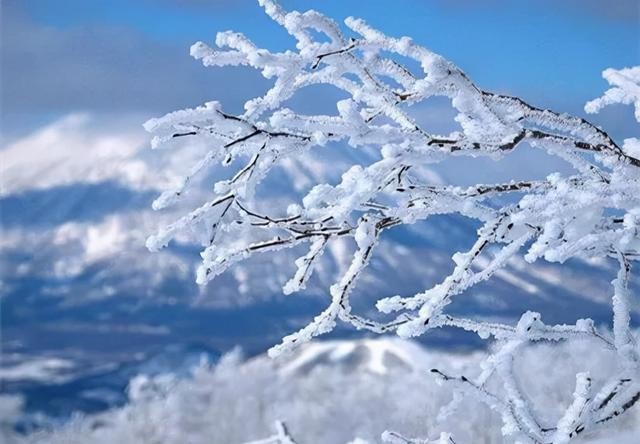 关于瑞雪兆丰年的诗句优美句子（春雪飞舞兆祥瑞）(2)