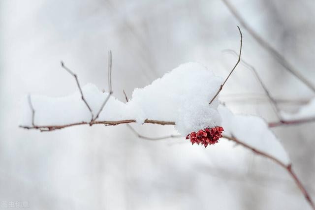 关于瑞雪兆丰年的诗句优美句子（春雪飞舞兆祥瑞）(1)