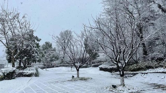 关于瑞雪兆丰年的诗句优美句子（春雪飞舞兆祥瑞）(3)