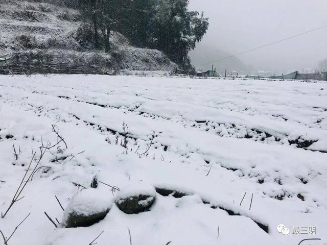 关于瑞雪兆丰年的诗句优美句子（春雪飞舞兆祥瑞）(10)