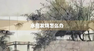 ​水痘发烧怎么办(儿童起水痘发烧怎么办)