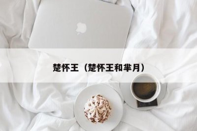 ​楚怀王（楚怀王和芈月）