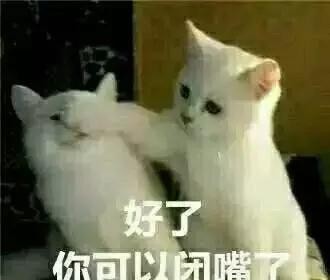 赵薇与黄有龙频传婚变（44岁赵薇现身西双版纳）