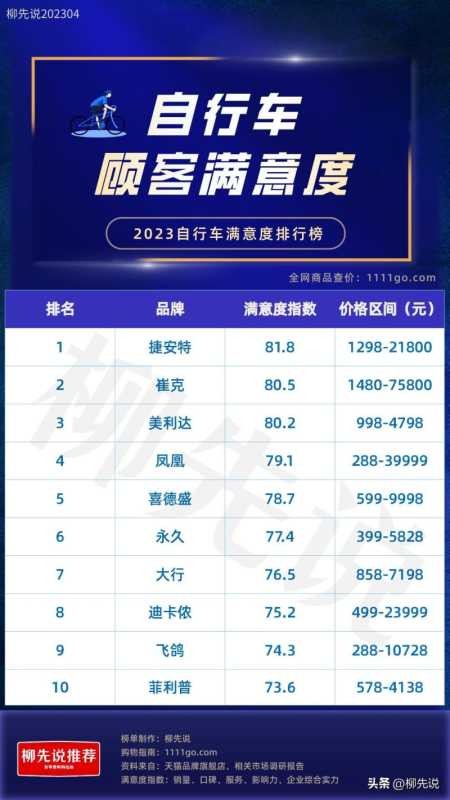 大行自行车(自行车顾客满意度揭开)