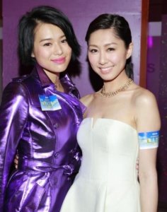 ​胡定欣最佳女主角(演妖精的女演员)