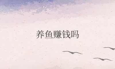 ​养鱼赚钱吗风险大吗