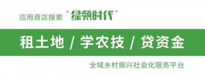 ​农村低保户的标准是多少（农村低保户认定标准）