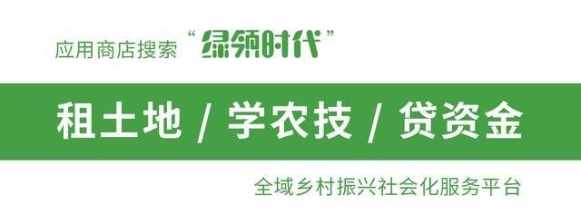 农村低保户的标准是多少（农村低保户认定标准）(1)
