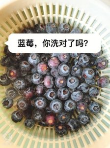​怎么清洗蓝莓才干净（三种方法教你如何清洗蓝莓）