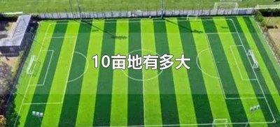 ​10亩地有多大（10亩地大概多大）
