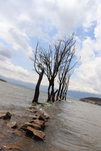 第四天：洱海