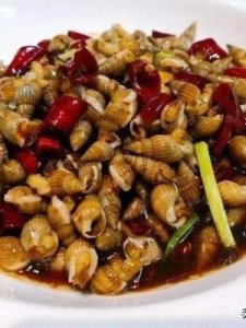 ​海瓜子是什么(海瓜子有几种)