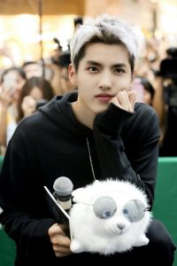 ​吴亦凡的个人简介（吴亦凡从开房到牢房的巨星）