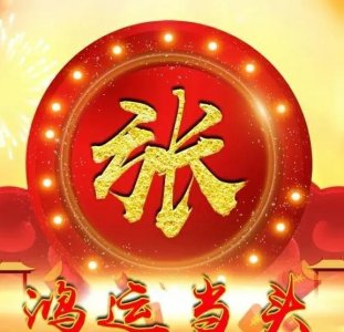 ​张姓名人明星有哪些(张姓的名人有多少人)