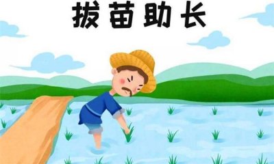 ​拔苗助长的寓意是什么（拔苗助长的寓意介绍）
