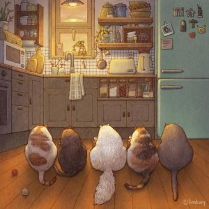 ​我和我的猫都很想你   其实我没有猫，也没有你。ins：limduey