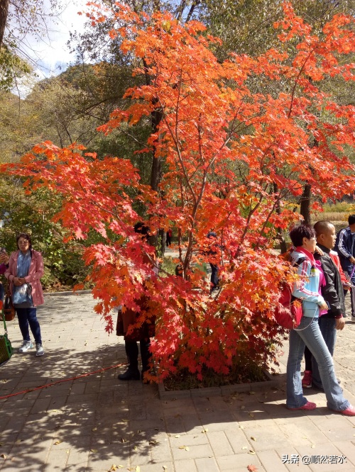 大雅河畔龙溪谷，画屏山脉好风光