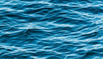 ​海兔子是什么 海兔子是啥
