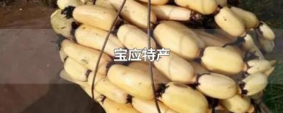 ​宝应特产