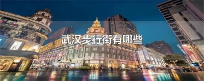 ​武汉步行街有哪些