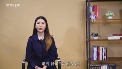 ​西马是什么食物