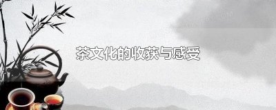 ​茶文化的收获与感受
