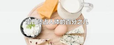 ​蛋白质占人体的百分之几