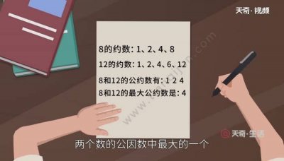 ​什么是约数（约数专业介绍）