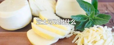 ​芝士可以做什么
