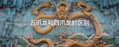 ​五爪龙和四爪龙的区别