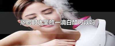 ​蒸脸时可以添加白醋吗 白醋加水蒸脸好吗