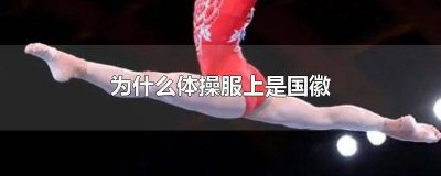 ​中国体操队衣服上有国徽 为什么体操运动服上面有国徽