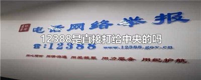 ​12388是国家查还是地方查(12368是中央受理吗)