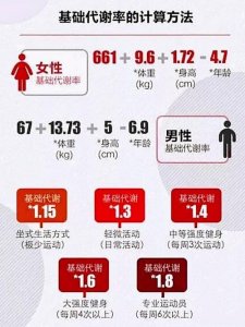 ​基础代谢率计算公式（基础代谢率介绍）