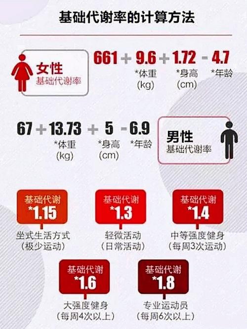 基础代谢率计算公式（基础代谢率介绍）