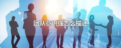 ​团队意识强怎么描述